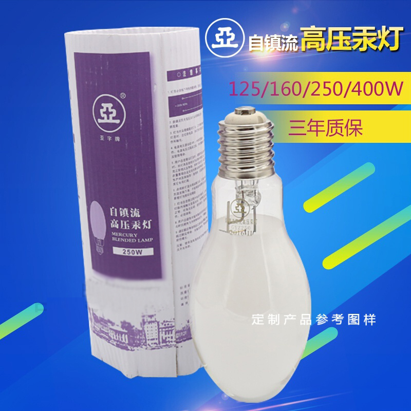 上海亚明1923 自镇流荧光高压汞灯 GYZ 220-160W E27 1个